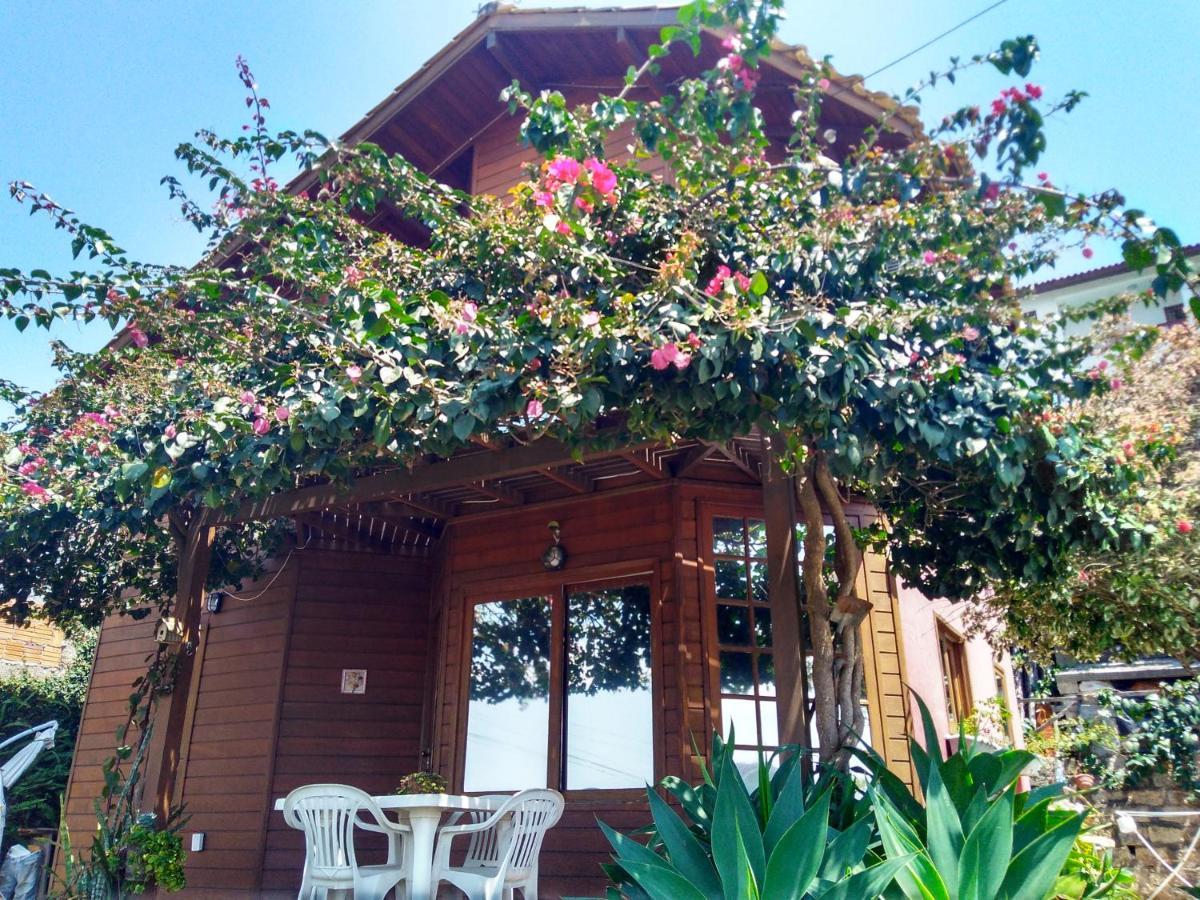 Villa Casa Na Ilha Da Magia Florianópolis Exterior foto
